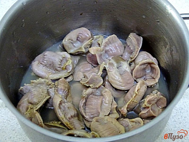 Фото приготовление рецепта: Куриные желудки со сливками шаг №1