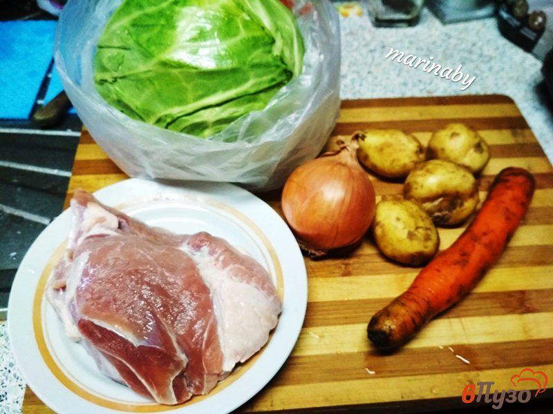 Фото приготовление рецепта: Щи из свинины и молодых овощей шаг №1