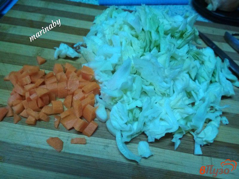 Фото приготовление рецепта: Щи из свинины и молодых овощей шаг №3