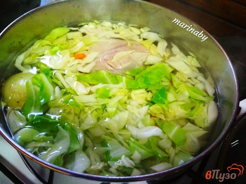 Фото приготовление рецепта: Щи из свинины и молодых овощей шаг №5
