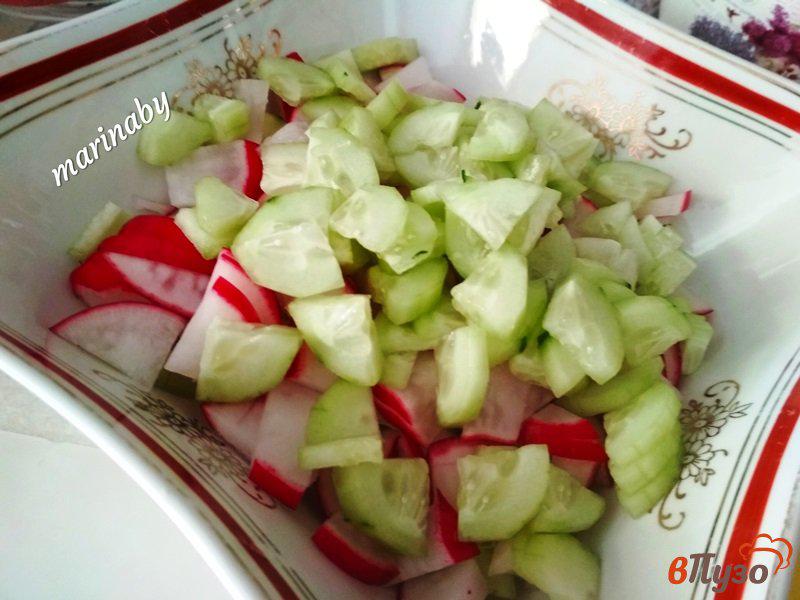 Фото приготовление рецепта: Салат весенний с редисом шаг №4
