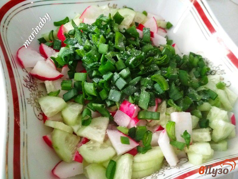 Фото приготовление рецепта: Салат весенний с редисом шаг №6