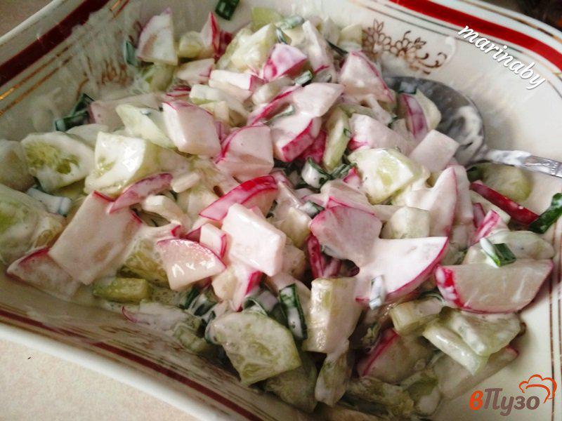 Фото приготовление рецепта: Салат весенний с редисом шаг №7