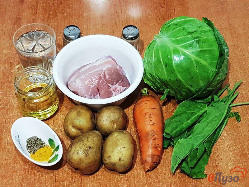 Фото приготовление рецепта: Суп с капустой и щавелем шаг №1