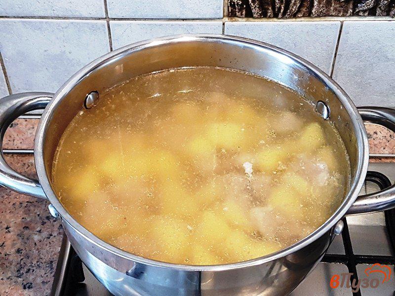 Фото приготовление рецепта: Суп с капустой и щавелем шаг №4