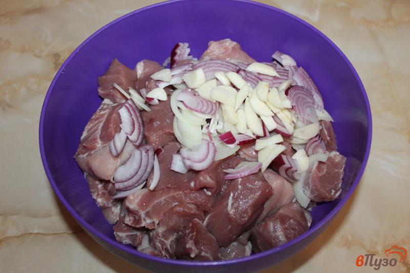 Фото приготовление рецепта: Свинина маринованная с перцем и помидорами шаг №2