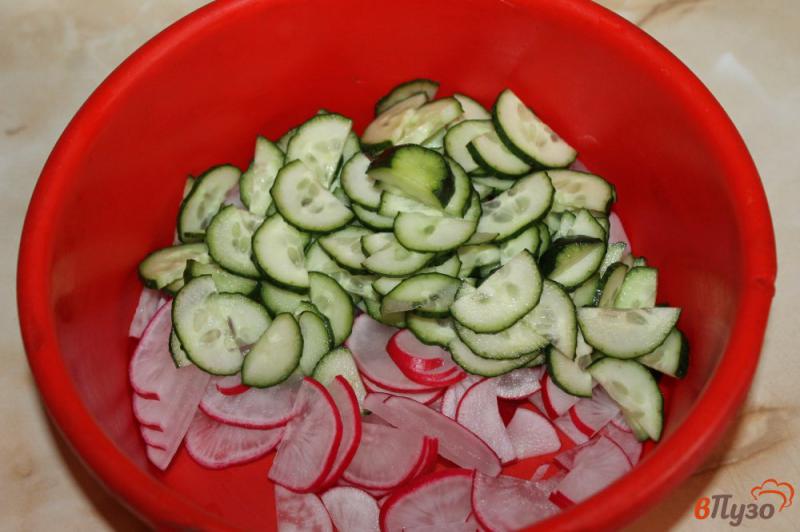 Фото приготовление рецепта: Салат из редиса, огурца и красного лука в сметане шаг №2