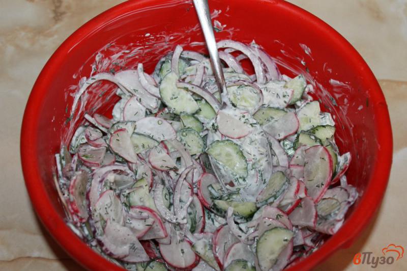 Фото приготовление рецепта: Салат из редиса, огурца и красного лука в сметане шаг №4