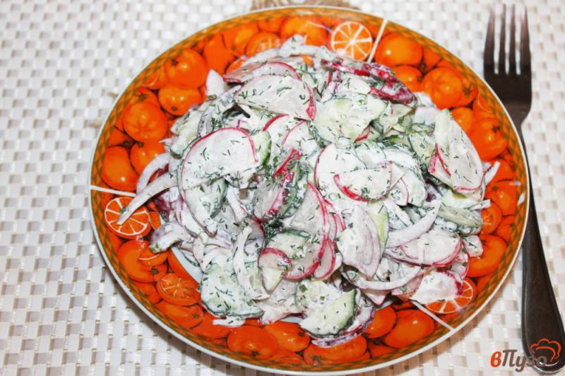 Фото приготовление рецепта: Салат из редиса, огурца и красного лука в сметане шаг №5