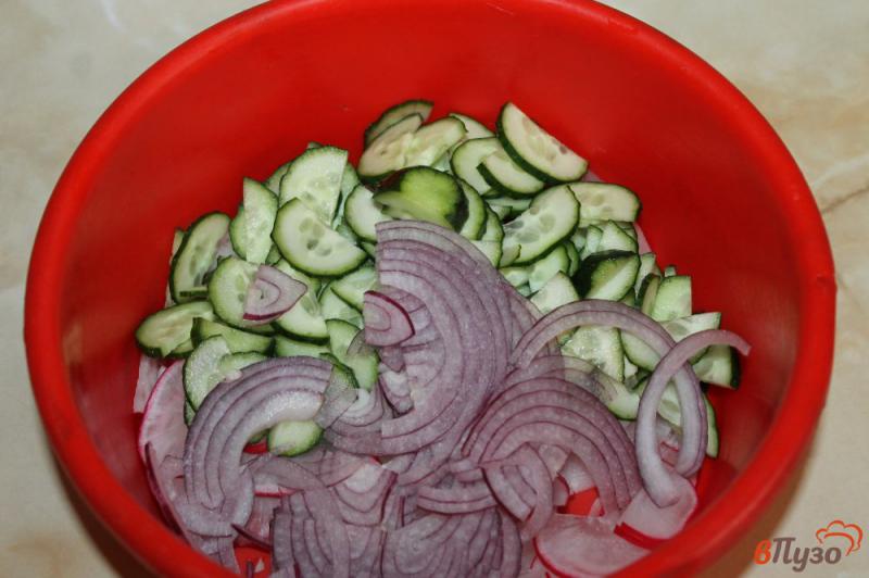 Фото приготовление рецепта: Салат из редиса, огурца и красного лука в сметане шаг №3