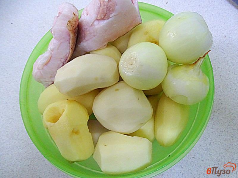 Фото приготовление рецепта: Картофель жареный на сале с луком шаг №1
