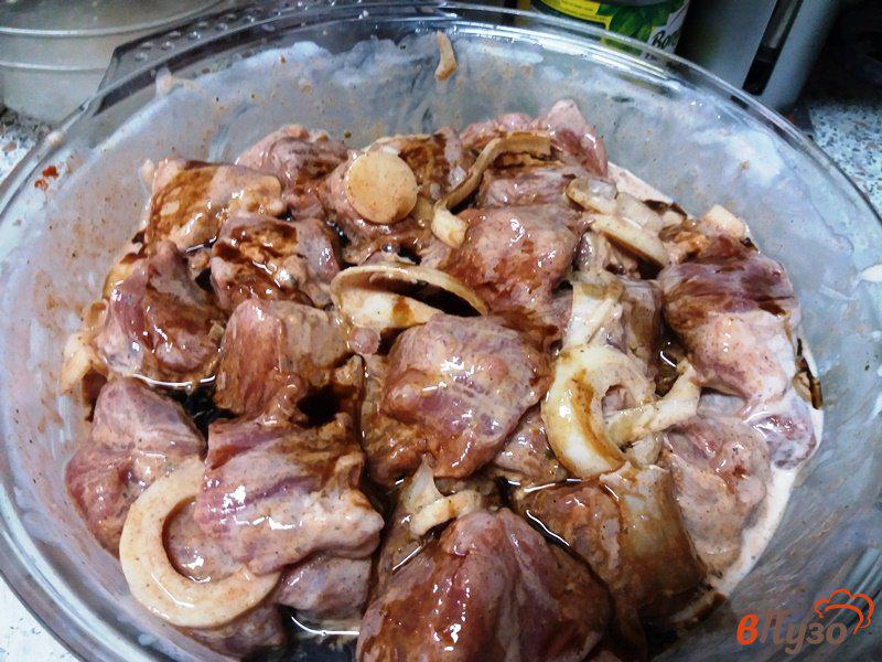 Фото приготовление рецепта: Шашлык из свиной вырезки шаг №5