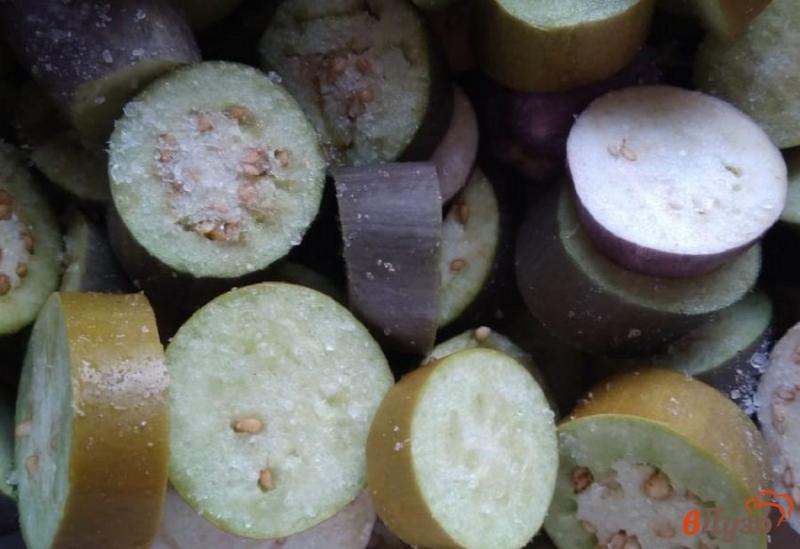 Фото приготовление рецепта: Овощное рагу с баклажанами шаг №1