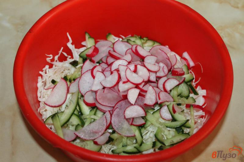 Фото приготовление рецепта: Салат из капусты с редисом и свежим огурцом шаг №3