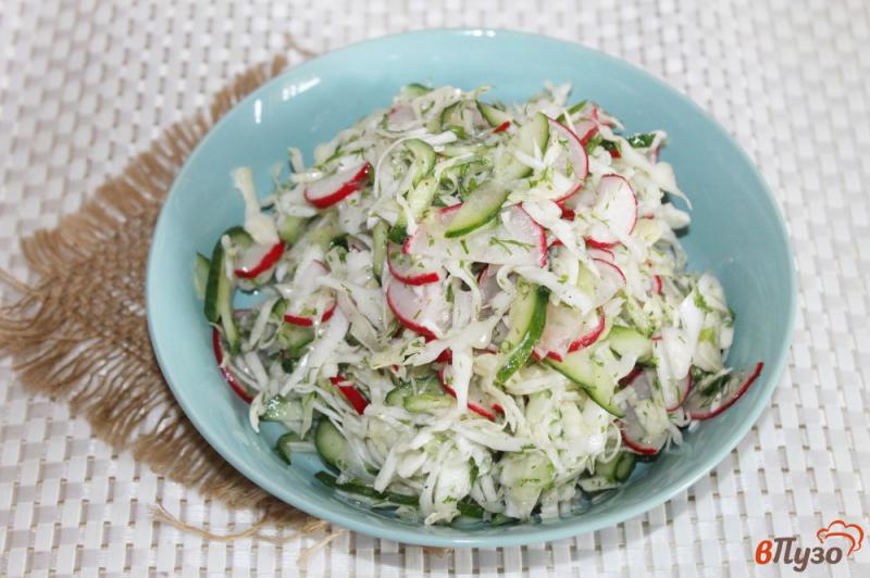 Фото приготовление рецепта: Салат из капусты с редисом и свежим огурцом шаг №5