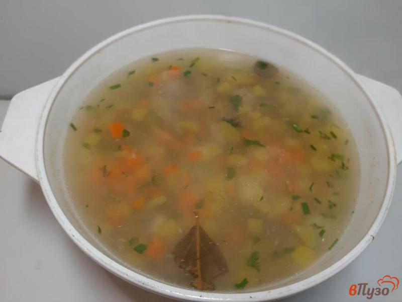 Фото приготовление рецепта: Суп овощной с фрикадельками и сухариками шаг №9