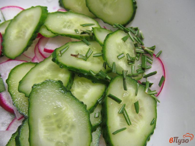 Фото приготовление рецепта: Салат из редиски с капустой кольраби шаг №3
