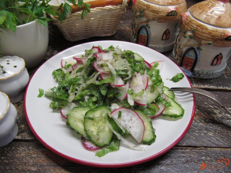 Фото приготовление рецепта: Салат из редиски с капустой кольраби шаг №5