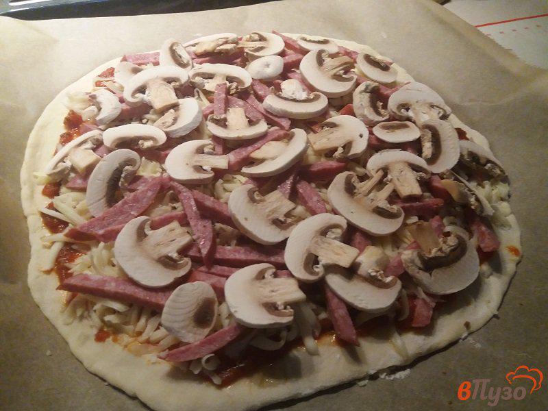 Фото приготовление рецепта: Домашняя пицца Ассорти шаг №9