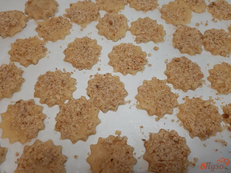 Фото приготовление рецепта: Печенье песочное с орехами шаг №10