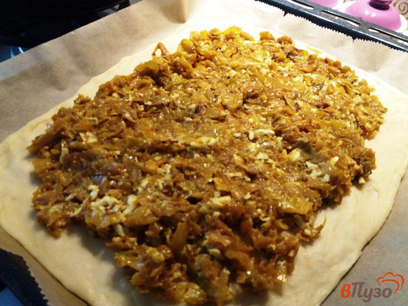 Фото приготовление рецепта: Пирог с капустой и яйцом шаг №9