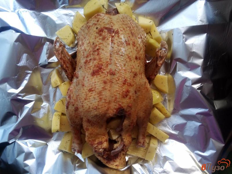 Фото приготовление рецепта: Утка запеченная в духовке шаг №5