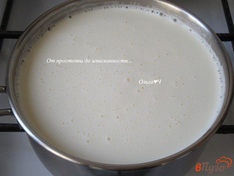 Фото приготовление рецепта: Творожок из цельного молока шаг №3