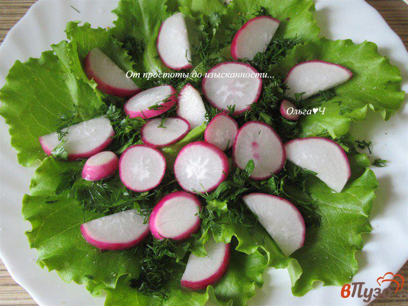 Фото приготовление рецепта: Зеленый салат с редисом шаг №3