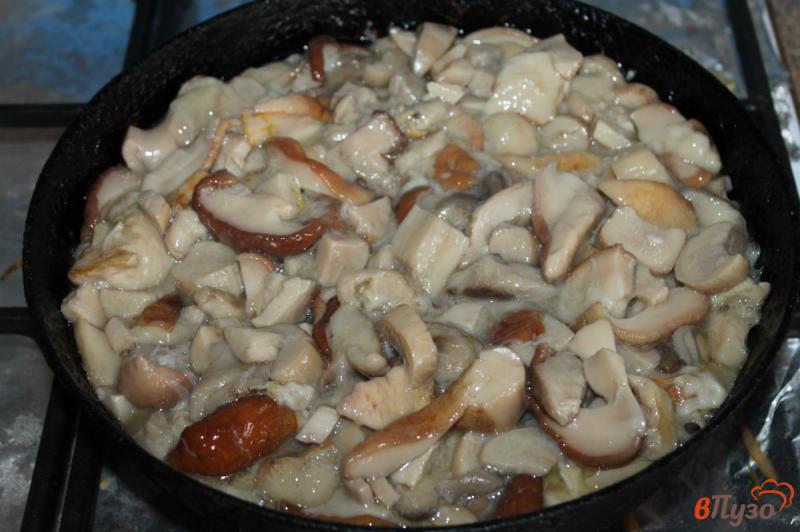 Фото приготовление рецепта: Польские и белые грибы с луком в сметане шаг №4
