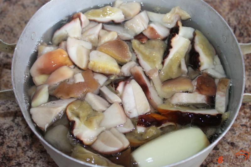 Фото приготовление рецепта: Польские и белые грибы с луком в сметане шаг №2
