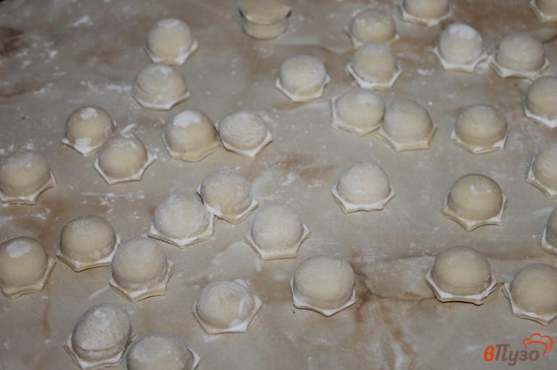 Фото приготовление рецепта: Пельмени с курицей и грибами в заморозку шаг №6