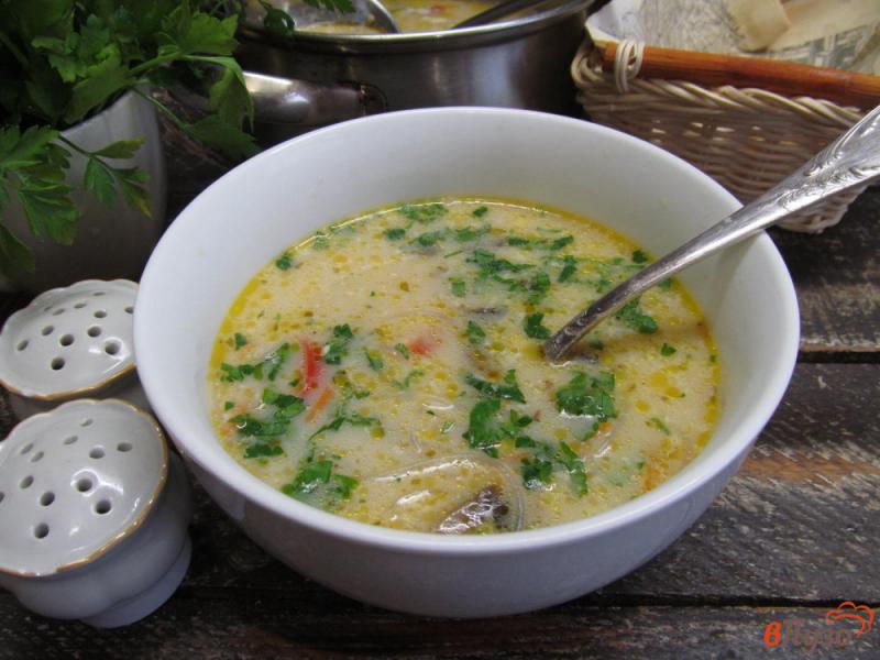 Фото приготовление рецепта: Тайский кокосовый суп шаг №11