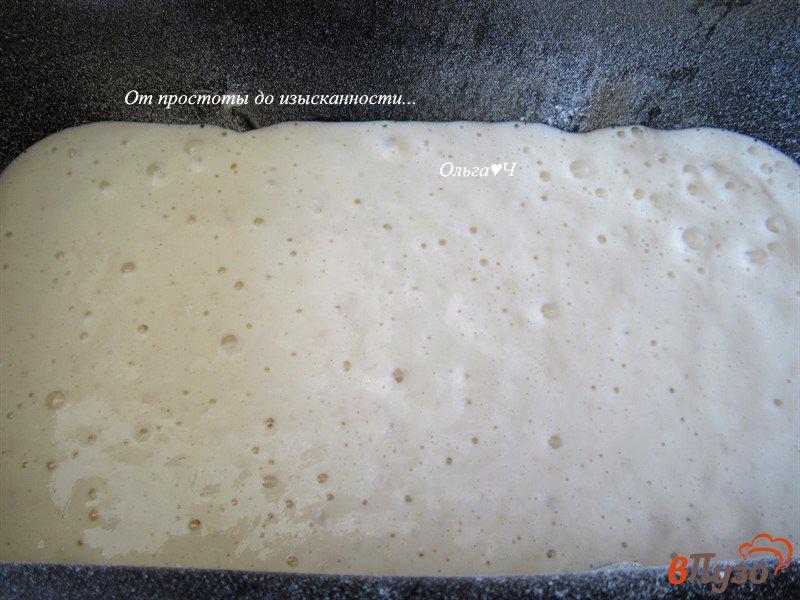 Фото приготовление рецепта: Ржано-пшеничный хлеб на сыворотке с солодом шаг №3