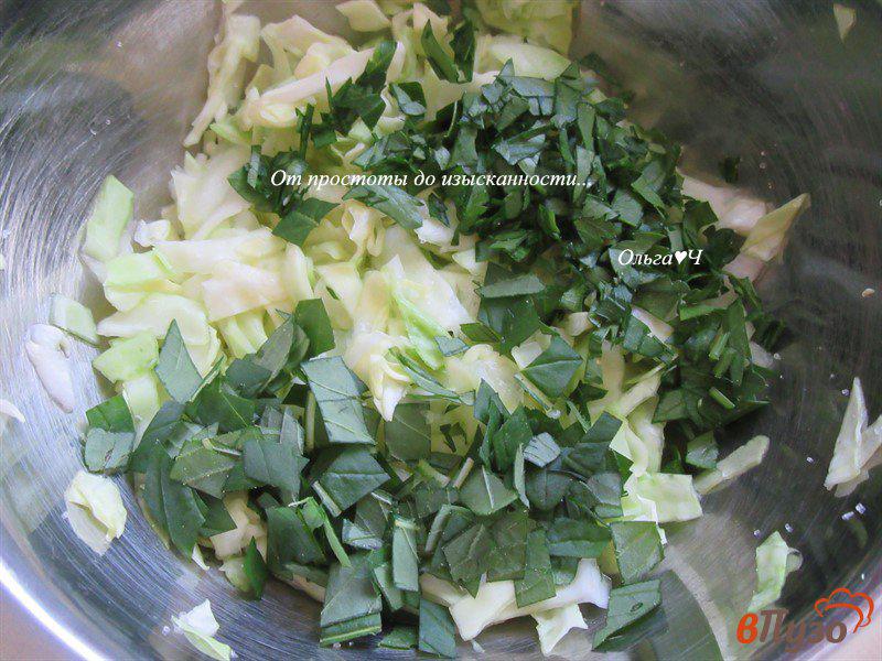 Фото приготовление рецепта: Салат из молодой капусты с грецкими орехами и мятой шаг №2