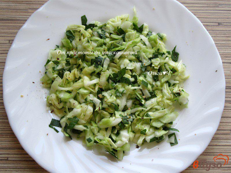 Фото приготовление рецепта: Салат из молодой капусты с грецкими орехами и мятой шаг №3