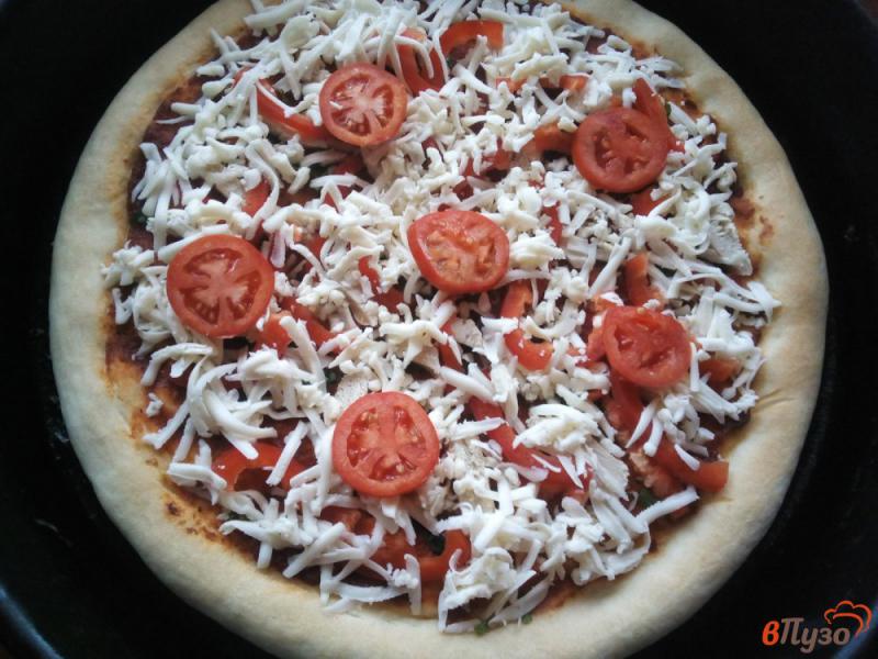 Фото приготовление рецепта: Пицца с курицей шаг №9