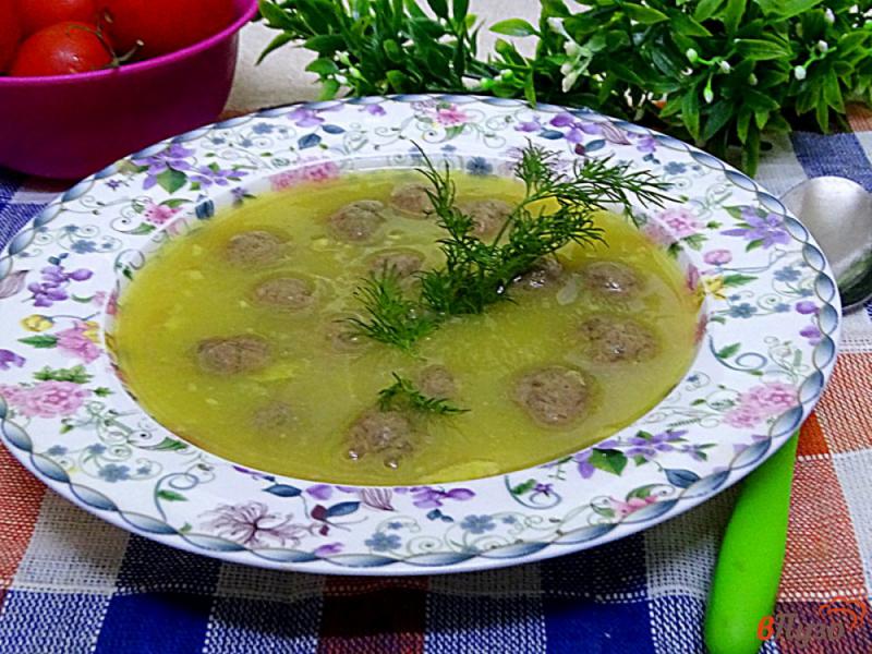 Фото приготовление рецепта: Диетический суп пюре с говяжьими фрикадельками шаг №9