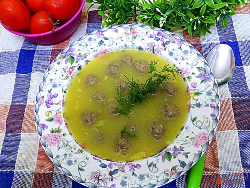 Фото приготовление рецепта: Диетический суп пюре с говяжьими фрикадельками шаг №10