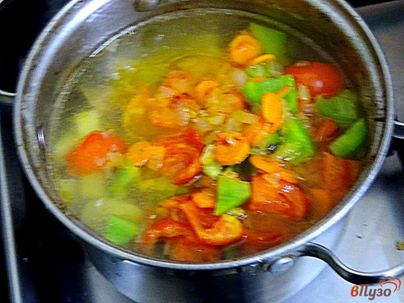 Фото приготовление рецепта: Диетическая тушёная говядина с овощами шаг №9