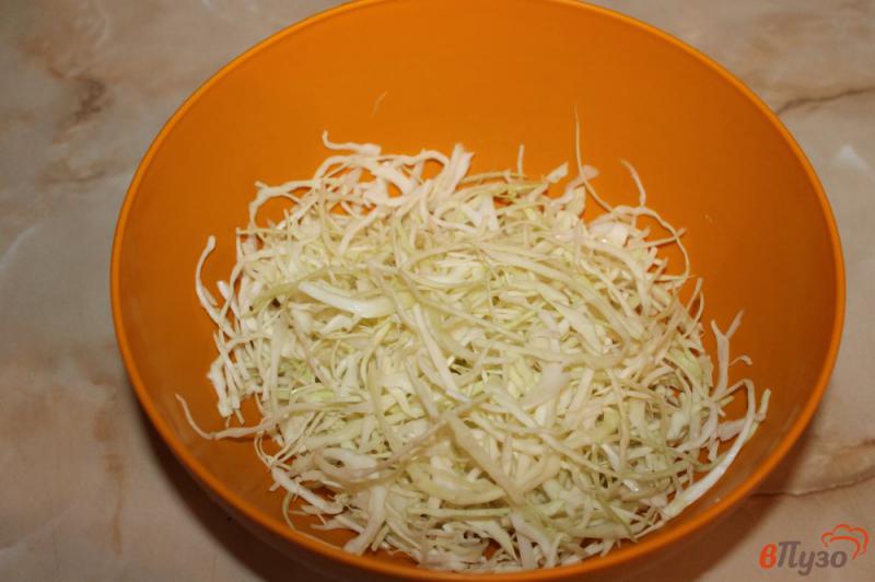Фото приготовление рецепта: Салат из капусты с огурцом и красным сладким перцем шаг №1