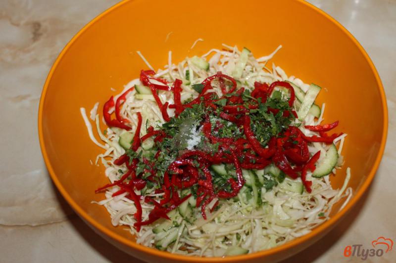 Фото приготовление рецепта: Салат из капусты с огурцом и красным сладким перцем шаг №4