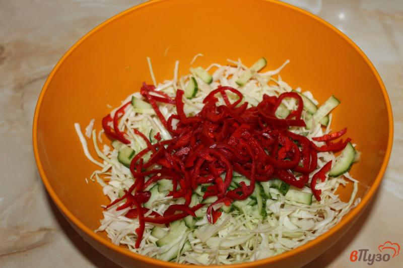 Фото приготовление рецепта: Салат из капусты с огурцом и красным сладким перцем шаг №3