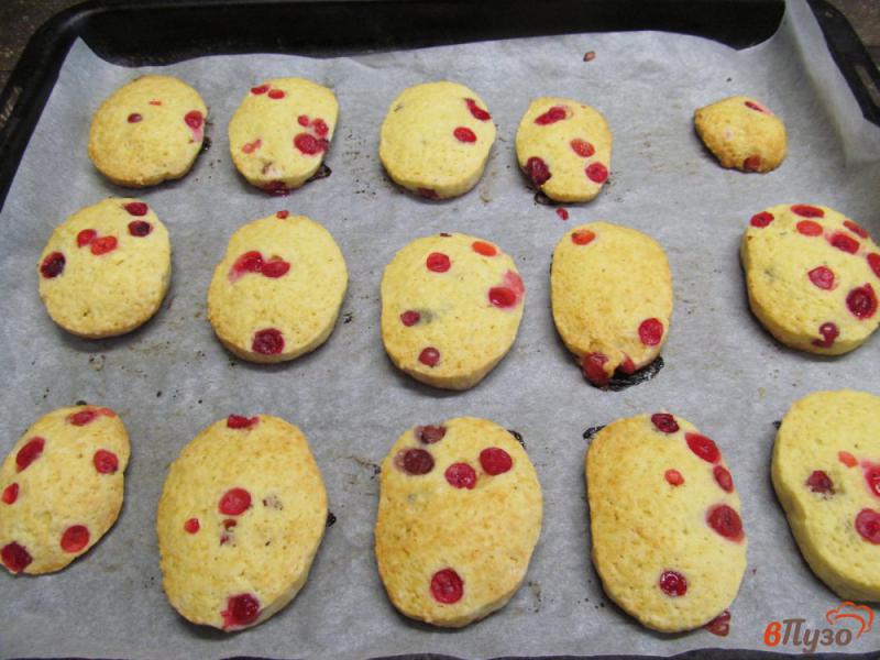 Фото приготовление рецепта: Печенье с клюквой на рисовой муке шаг №10