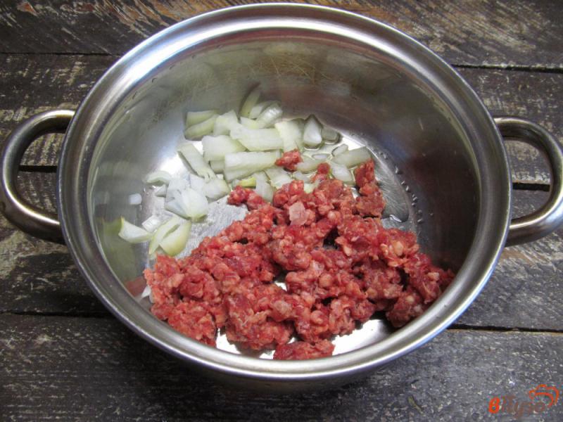 Фото приготовление рецепта: Суп с пастой овощами и мясным фаршем шаг №1