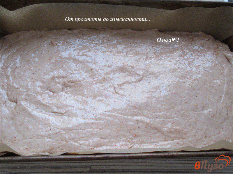 Фото приготовление рецепта: Томатный цельнозерновой хлеб с ржаной мукой шаг №5