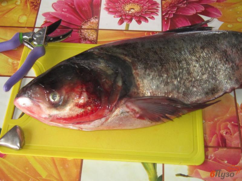 Фото приготовление рецепта: Рыбный суп из головы толстолобика с помидорами шаг №1