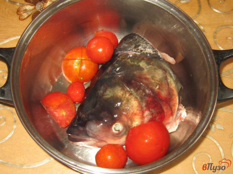 Фото приготовление рецепта: Рыбный суп из головы толстолобика с помидорами шаг №2