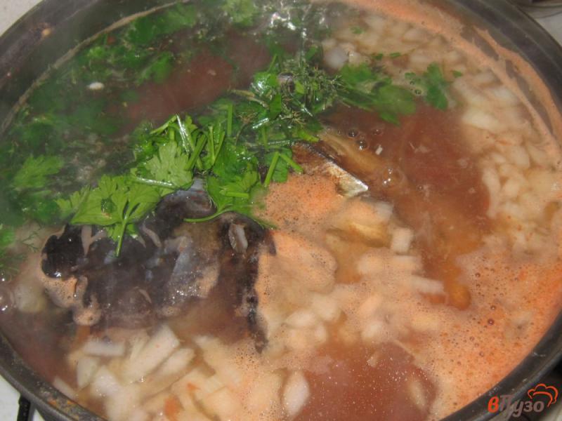 Фото приготовление рецепта: Рыбный суп из головы толстолобика с помидорами шаг №6