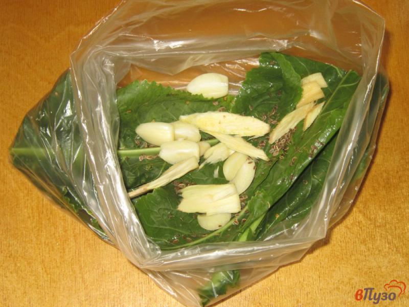 Фото приготовление рецепта: Огурцы малосольные в пакете с хреном и семенами укропа шаг №1