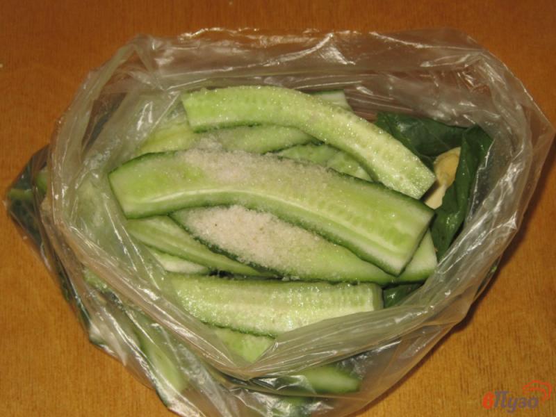Фото приготовление рецепта: Огурцы малосольные в пакете с хреном и семенами укропа шаг №3